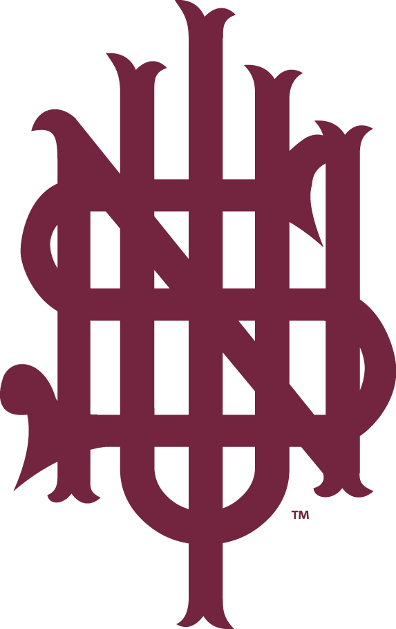 Southern Illinois Salukis 1888-1913 Primary Logo diy iron on heat transfer